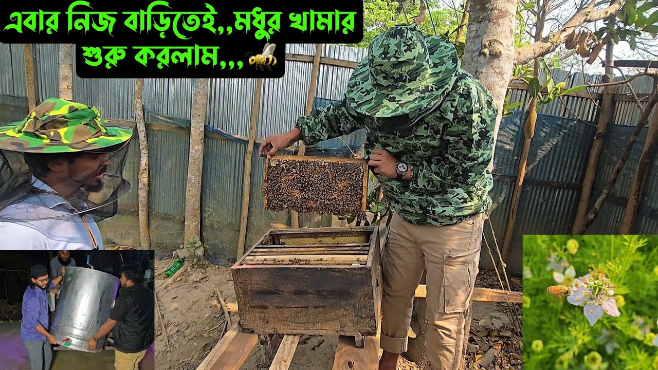 এবার নিজ বাড়িতেই,,মধুর খামার শুরু করলাম,,,🐝 