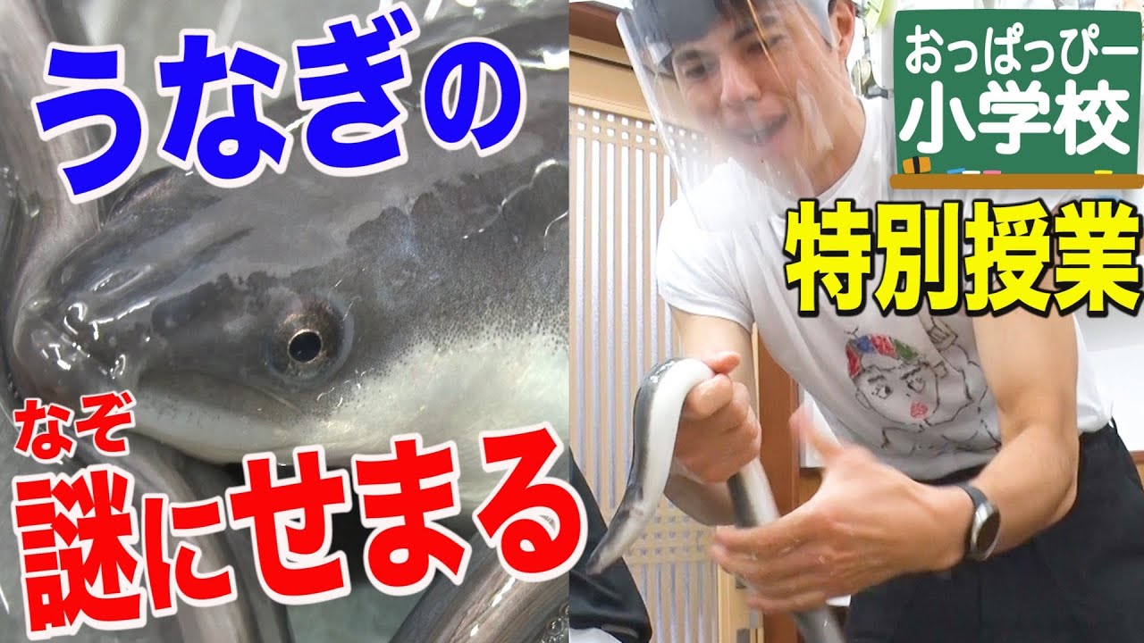 特別授業「うなぎの謎にせまる」