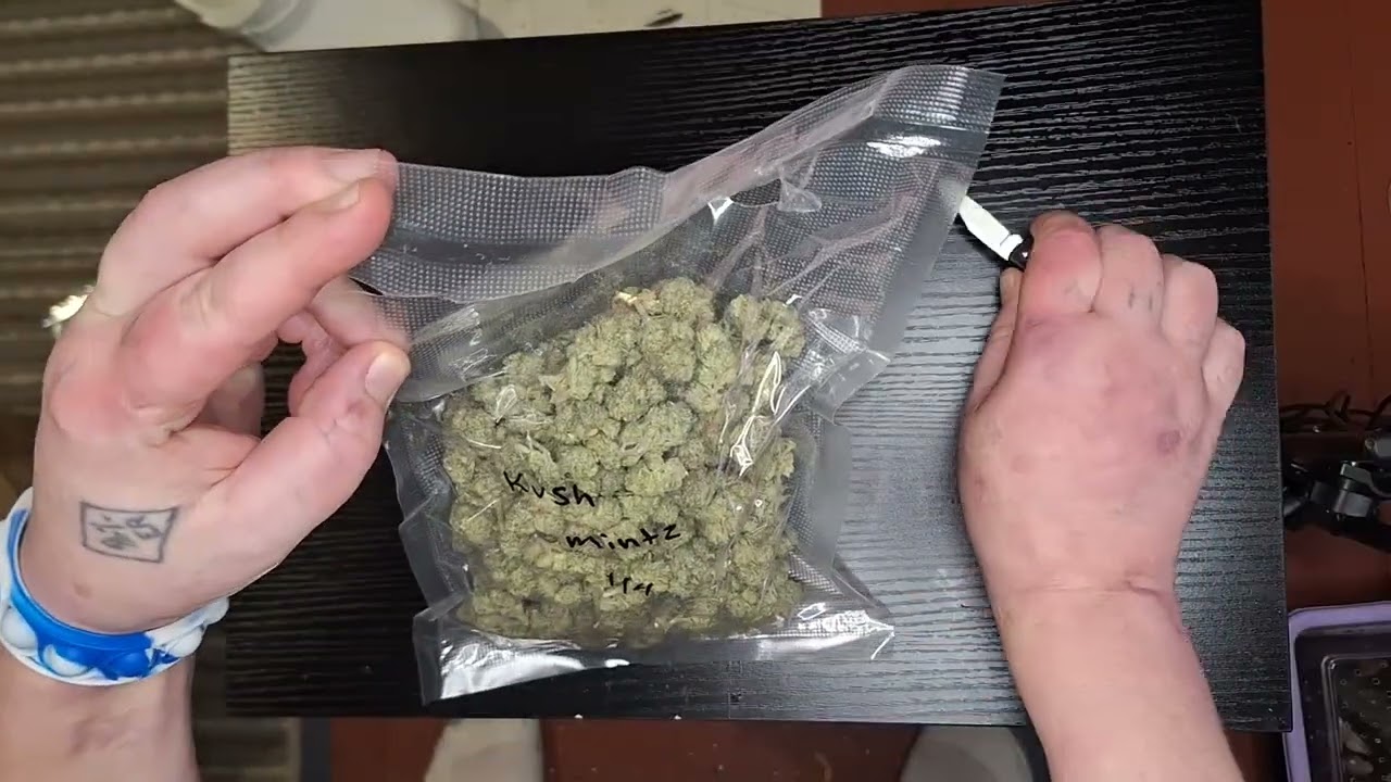 THCA flower from Discount pharms QP kush mints