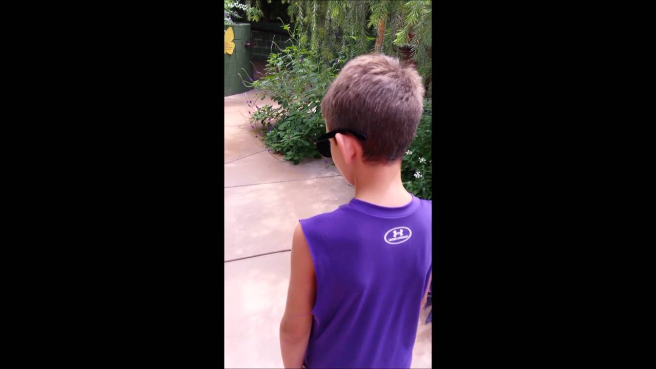 EnChroma Glasses at Butterfly Wonderland Arizona--Colorblind to Color Seeing