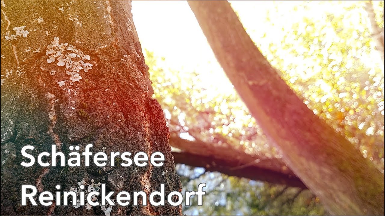 Sch&auml;fersee - Reinickendorf, Berlin