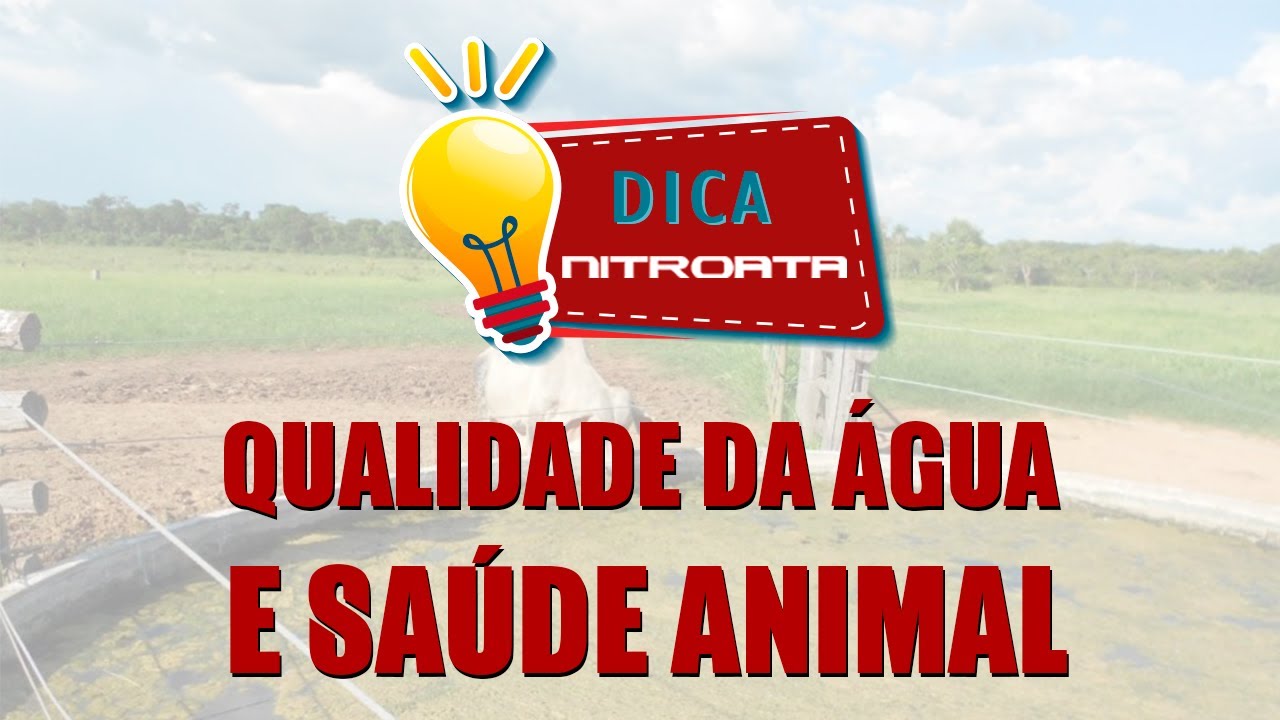 Qualidade da água e saúde animal