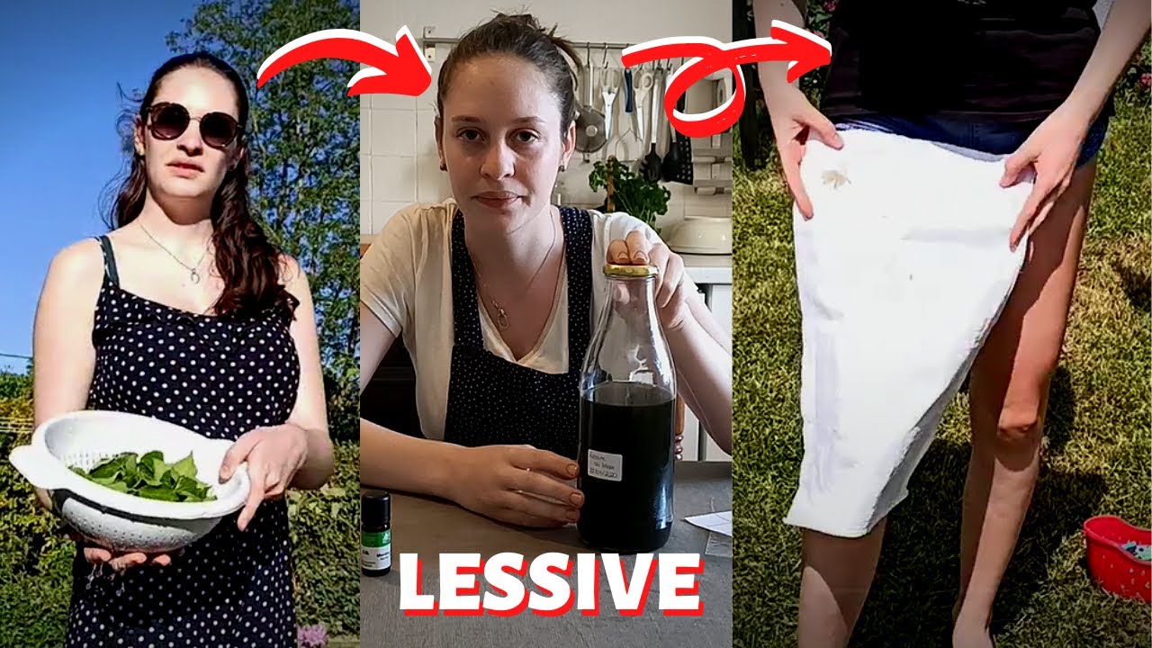 COMMENT FAIRE SA LESSIVE ? (100% naturel et facile/avec du lierre)