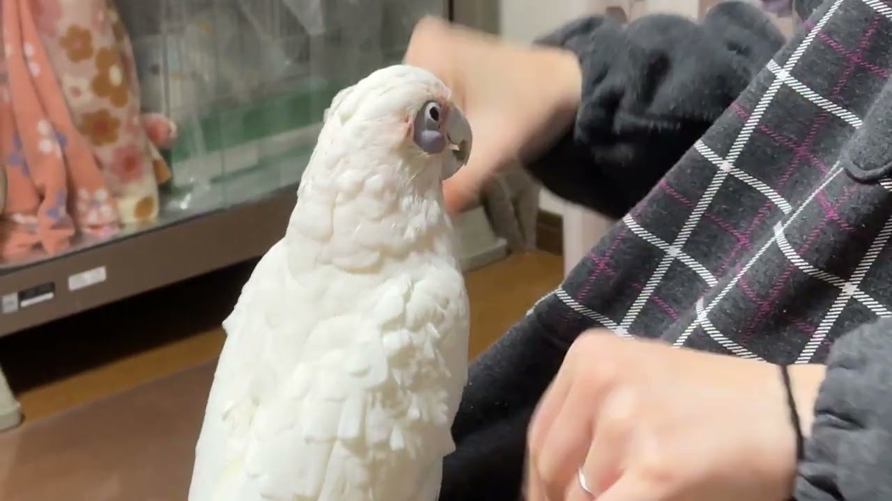 ご機嫌😊幸太郎さん😊