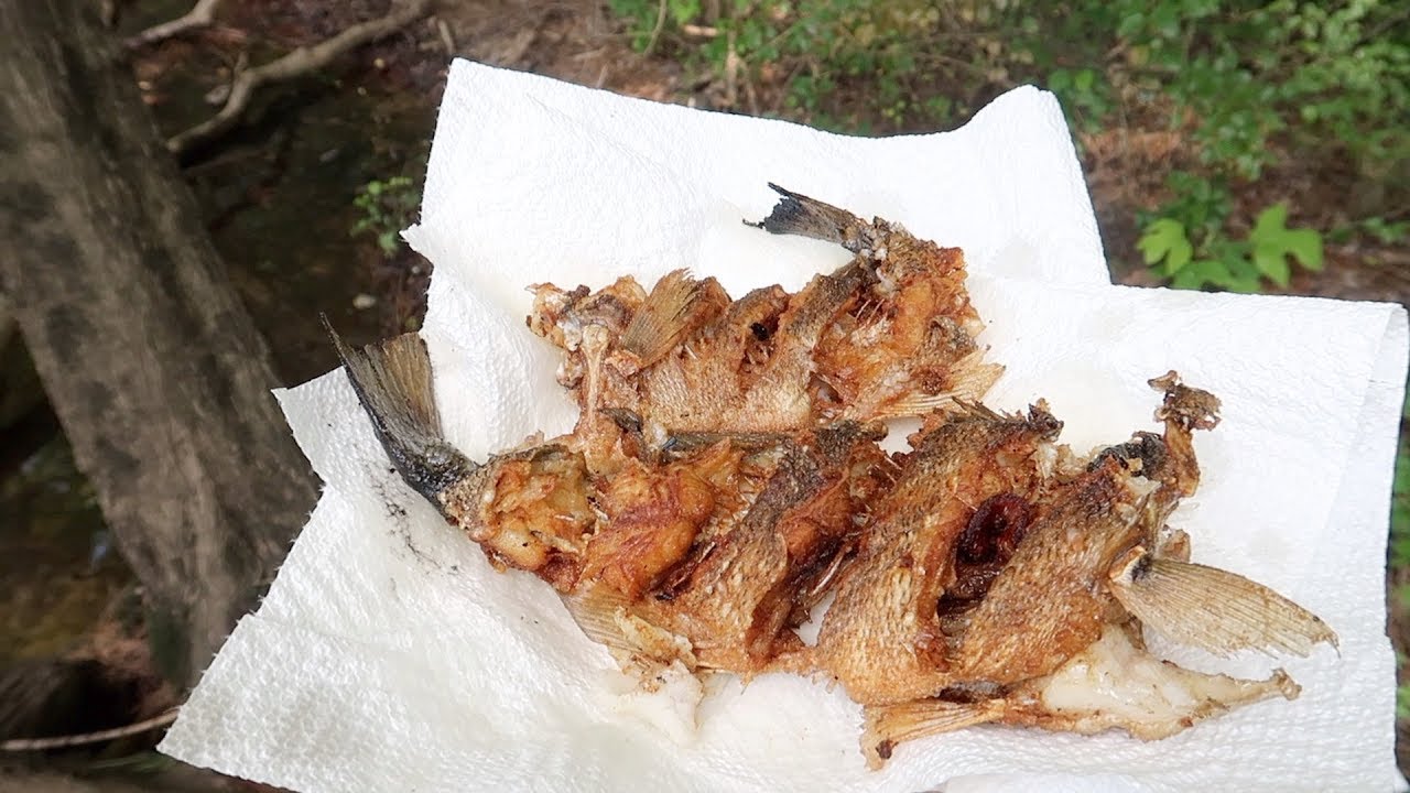 Primer Pesca Y Cocina De Bass Lobina