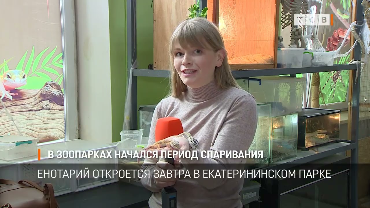 В зоопарках начался период спаривания