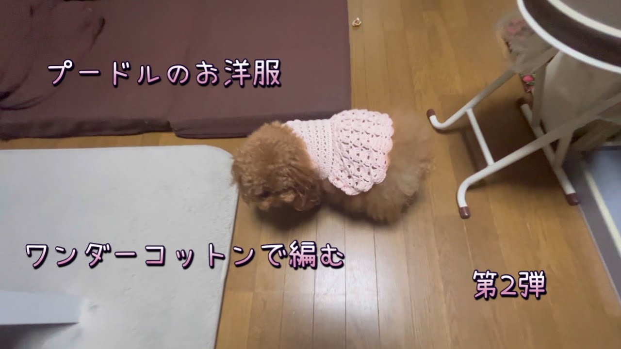プードルのお洋服#かぎ針編み #編み物 #犬服 #kawaii