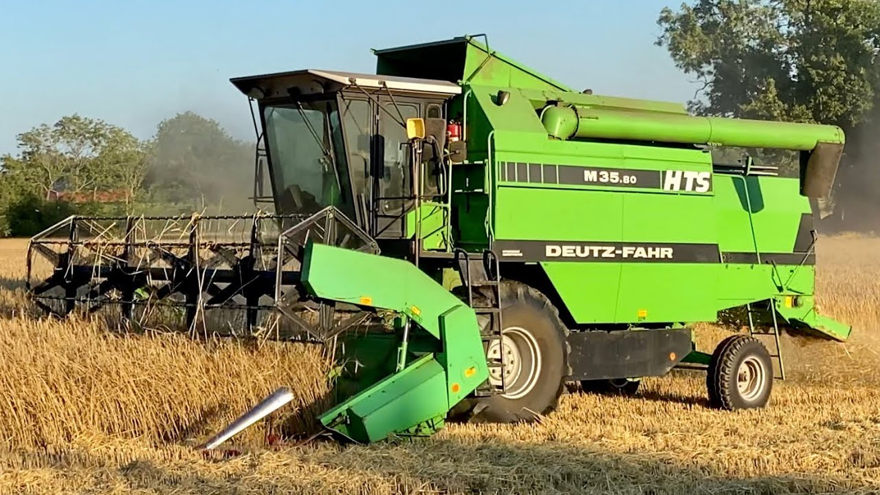 Deutz Fahr 35.80 HTS Harvesting Dense Rye (4K - Reupload)