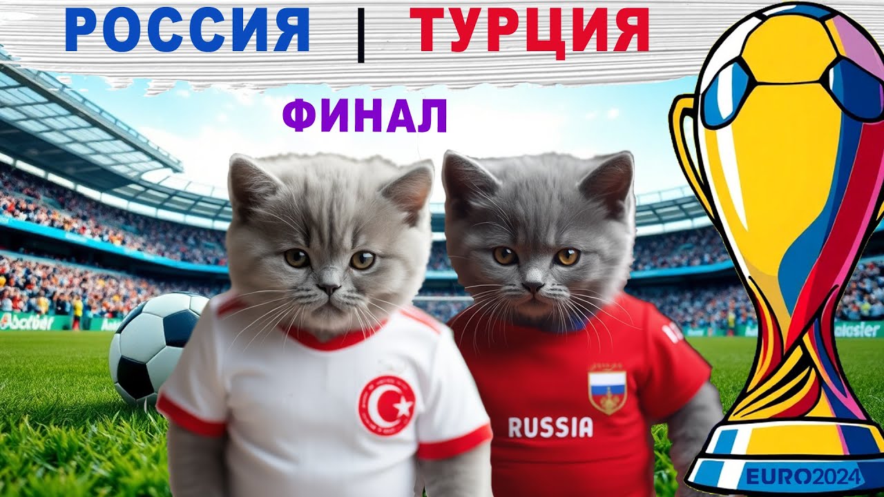 33 КОТЁНКА - ЕВРО КУБОК ПО ФУТБОЛУ СРЕДИ КОТЯТ! ФИНАЛ! РОССИЯ - ТУРЦИЯ [33 Kotenka]