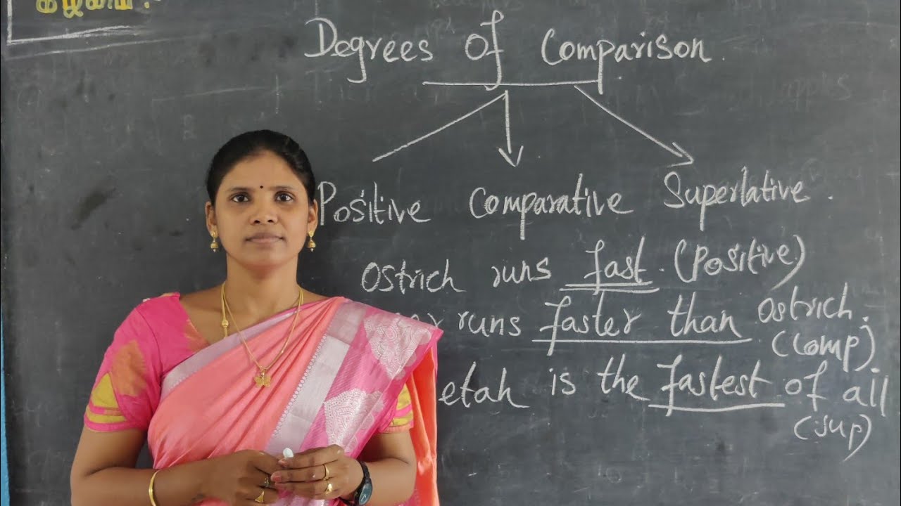 Degrees Of Comparison - STD 8 - English Grammar
