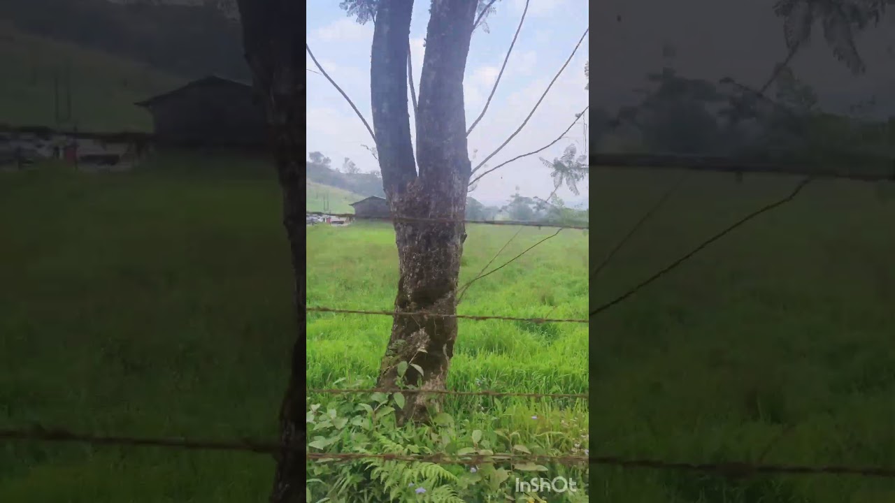 Vagamon tourist spot Idukki 