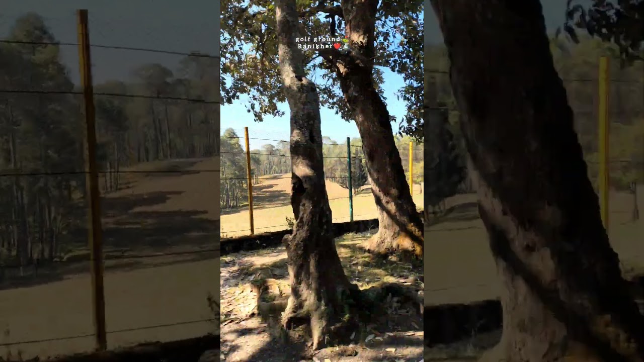 golf ground ⛳ Ranikhet 🏔️❤️