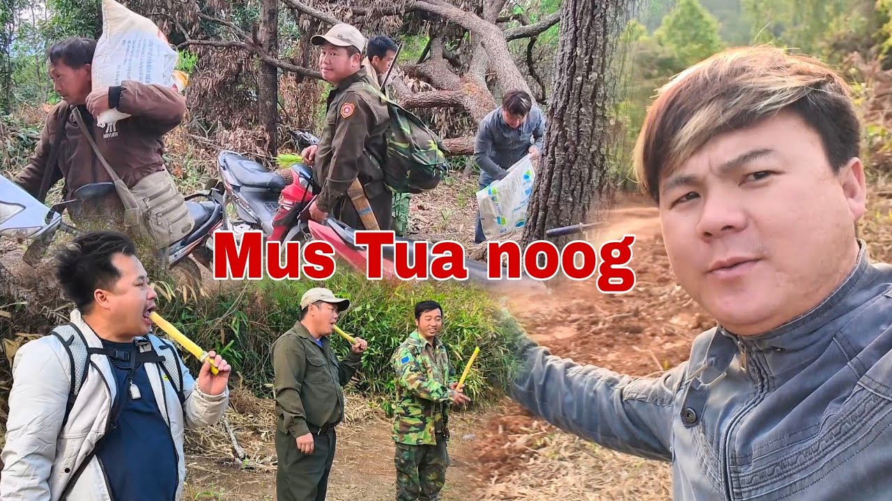 Saib peb Mus yos Tua noog Noj txiv Vaj khaum nawb seb yuav zoo li cas