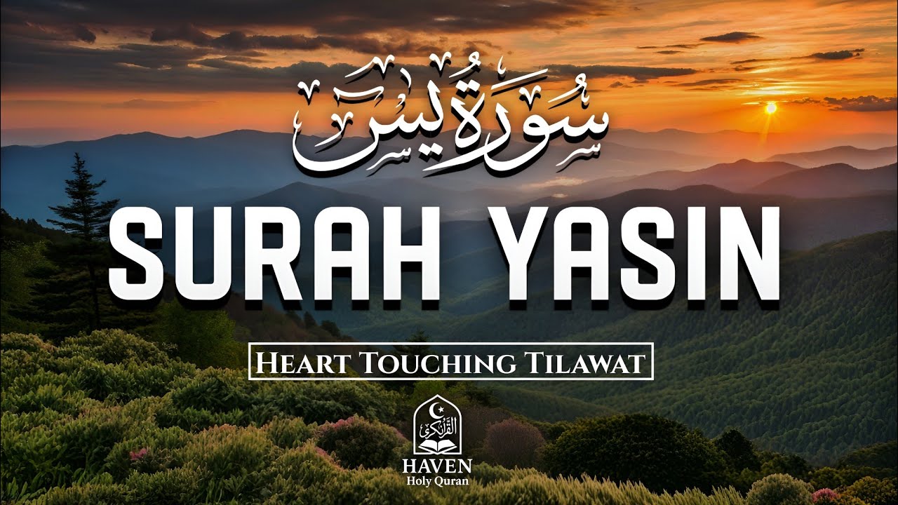 Surah Yasin ( سورة يس ) | Morning Relaxing Quran Recitation & Heart Touching | Haven Holy Quran