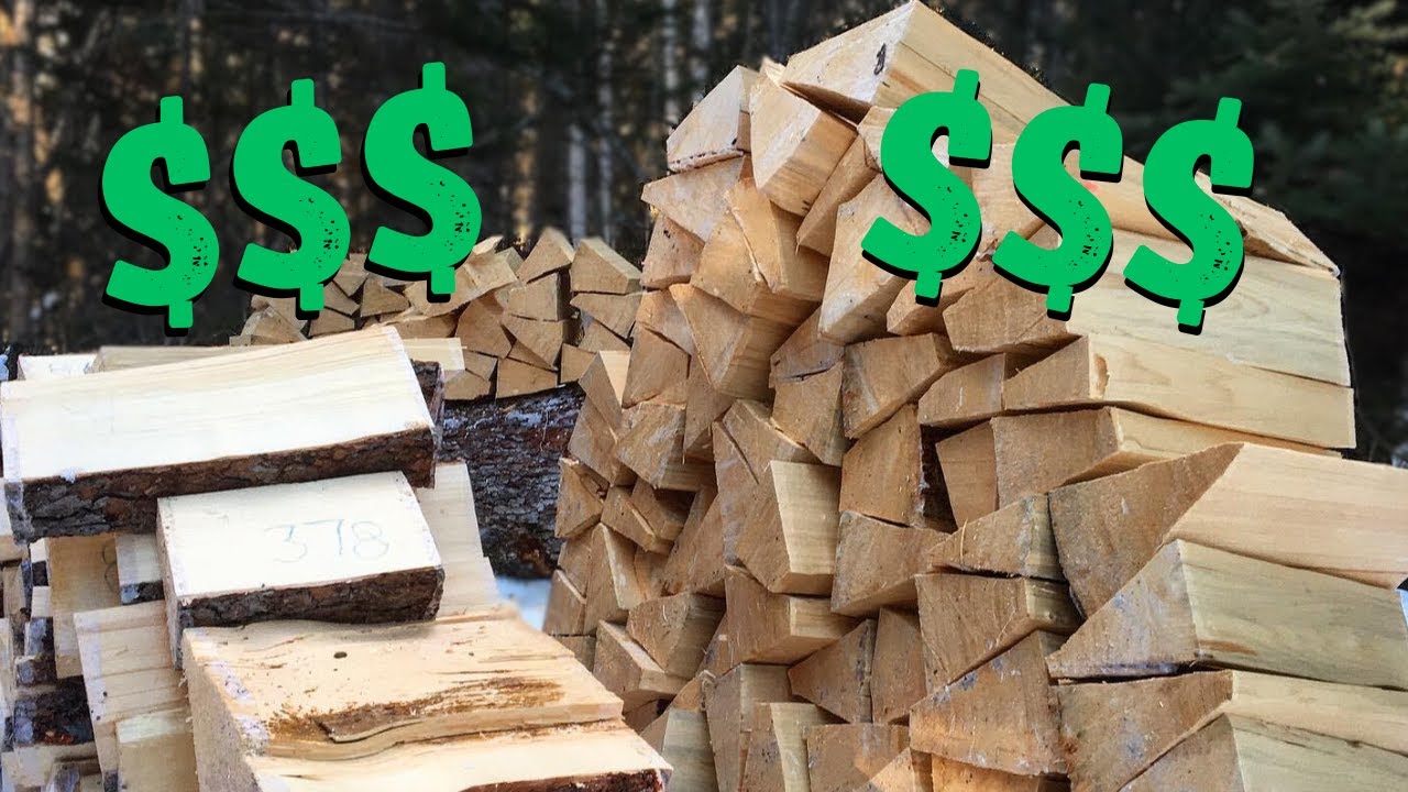 MOST EXPENSIVE Firewood in the Forest