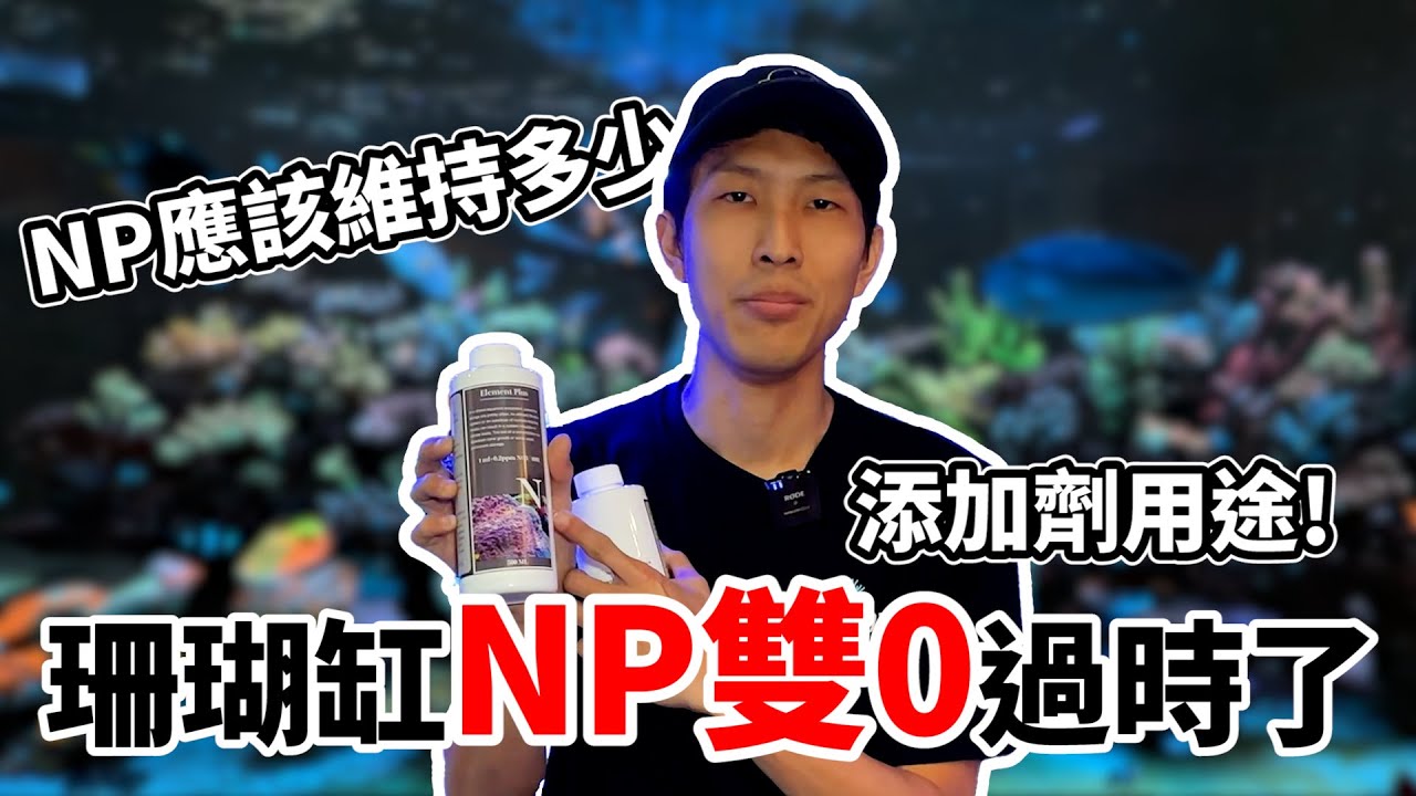 【藍箱水族】珊瑚缸NP不是越低越好！NP維持多少才好？NP添加劑的用途告訴你~