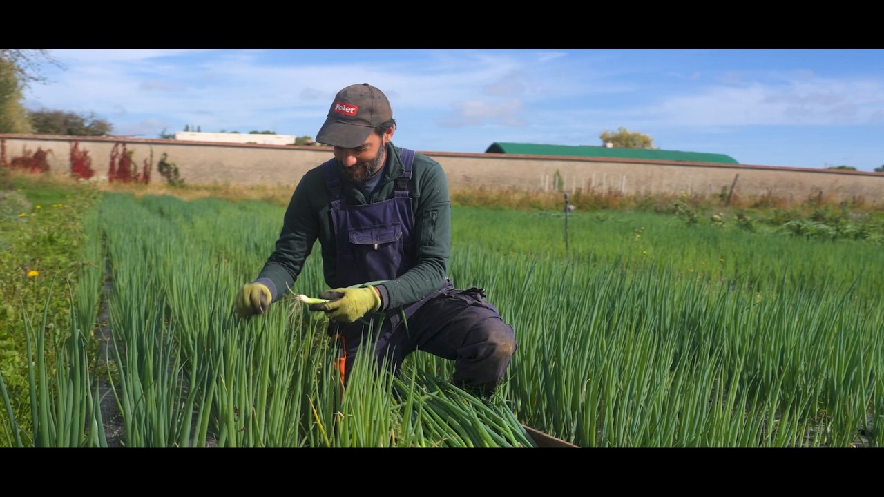 Découvrez la ferme de Lyon & Saint-Cyr : Quand l'agriculture reprend vie au cœur de la ville.