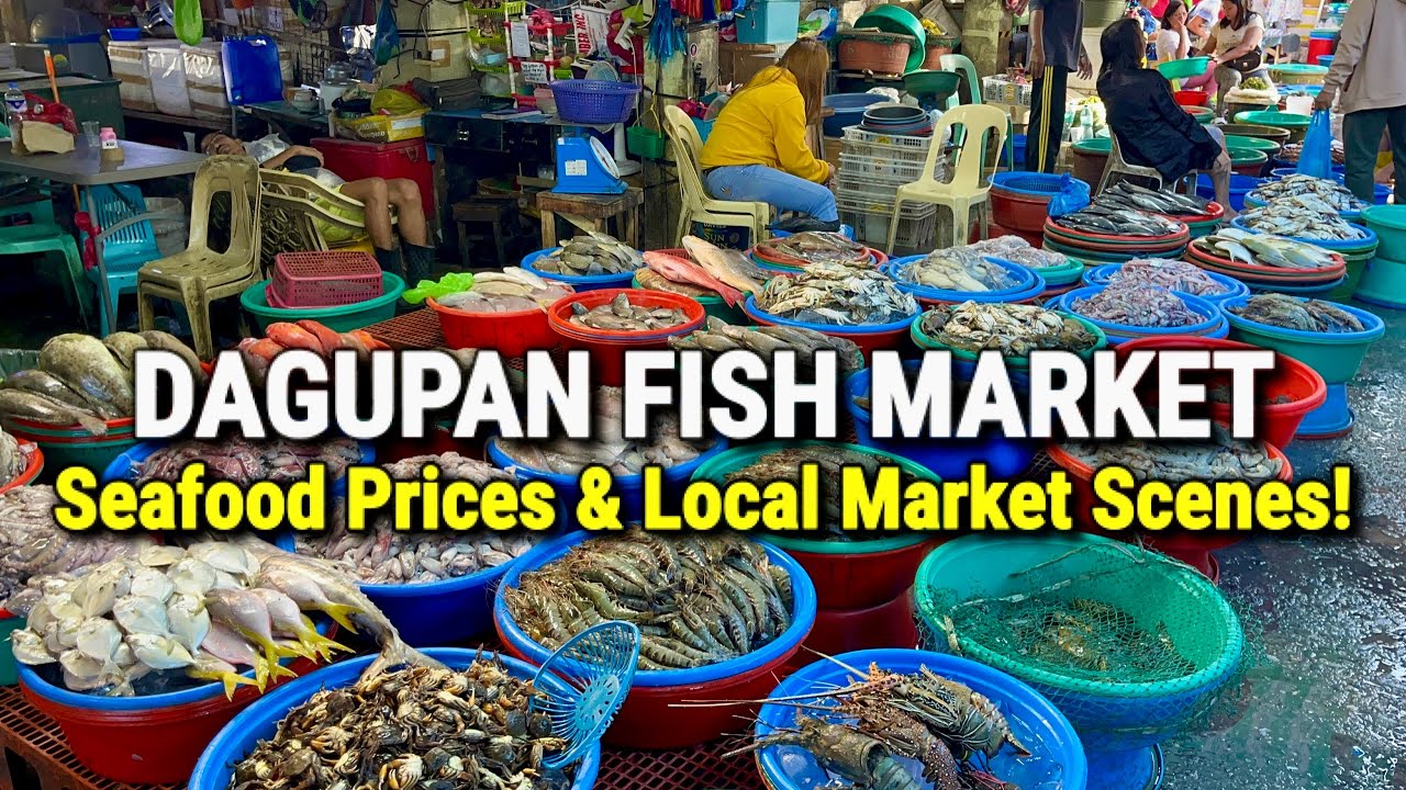 Philippines Fish Market Tour in DAGUPAN, PANGASINAN 2025 | FRESH SEAFOOD PRICES & FOOD MARKET SCENES