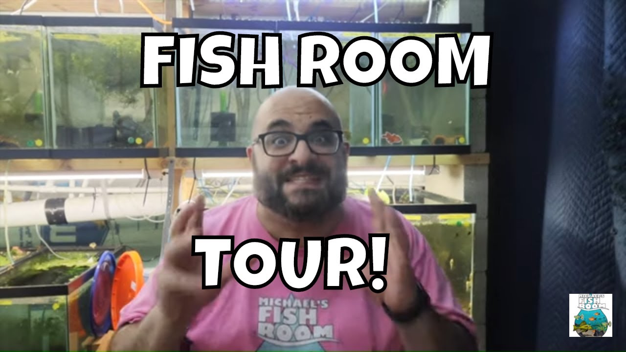Fish Room Tour