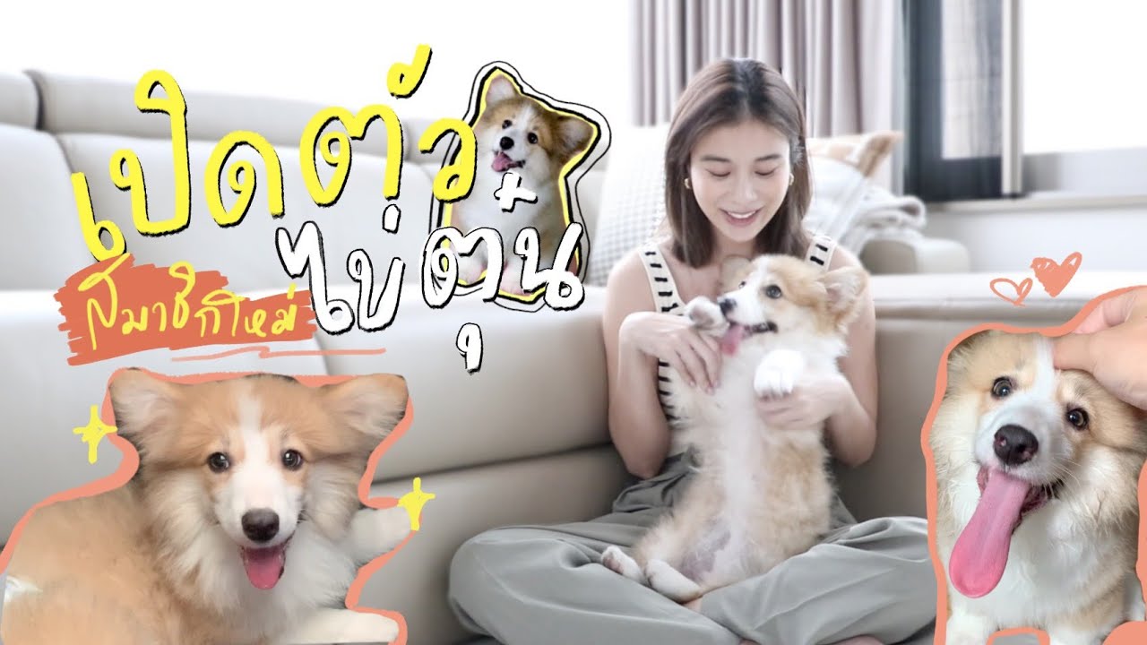 เปิดตัวไข่ตุ๋น สมาชิกใหม่ ใครๆก็หลงรัก ❤️ | KaoSupassara