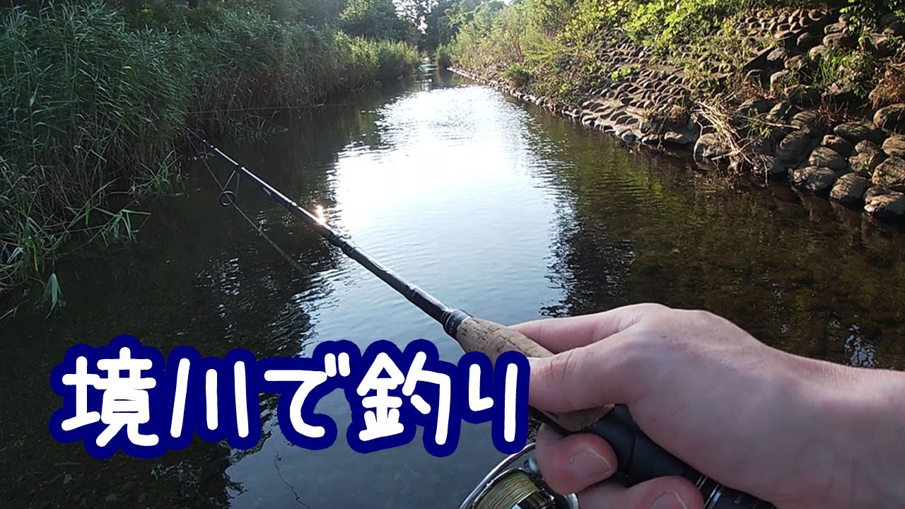 境川で釣り【東京・神奈川】