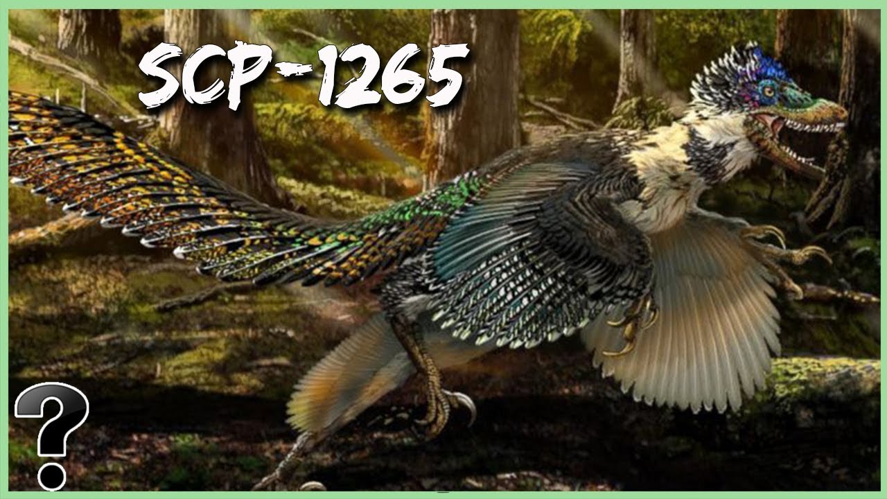 What If SCP-1265 Was Real?