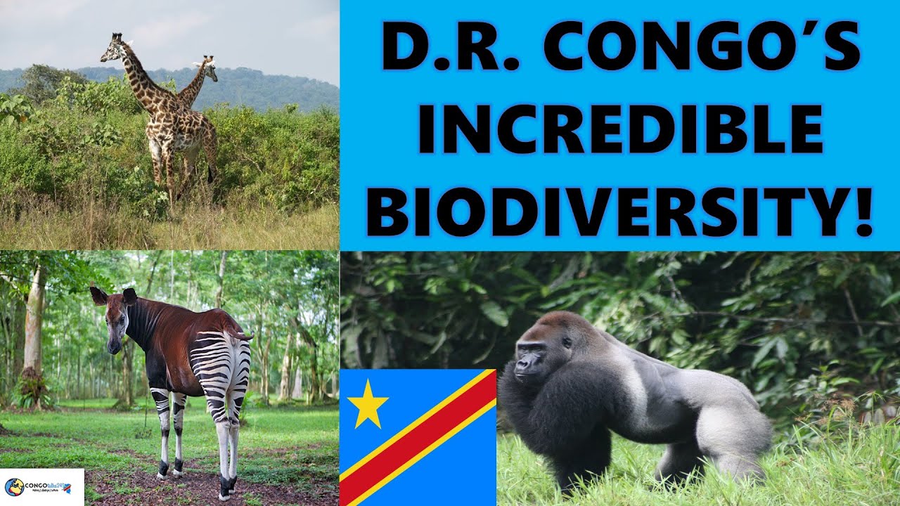 D.R. CONGO’S INCREDIBLE BIODIVERSITY