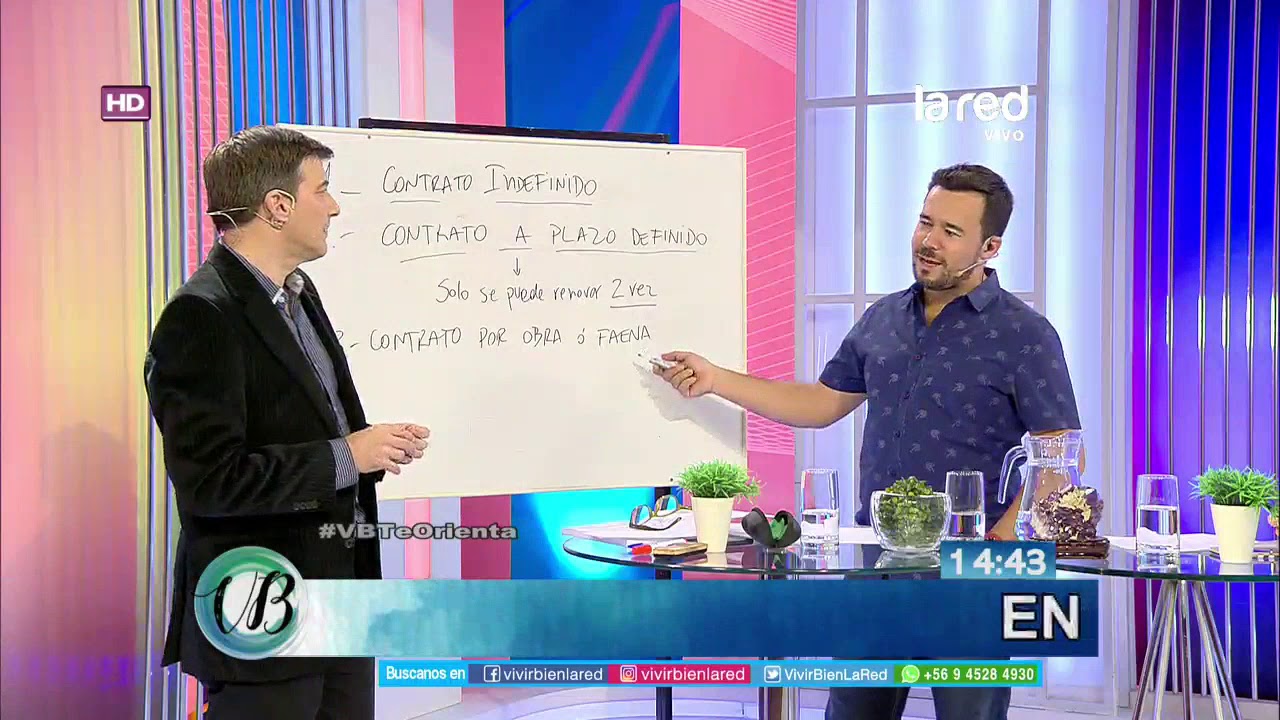 Conozca los principales tipos de contrato laboral