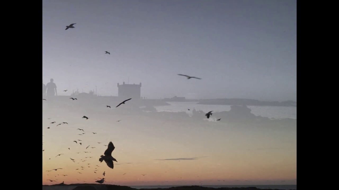 Maalem Abdellah Amine: Sandya