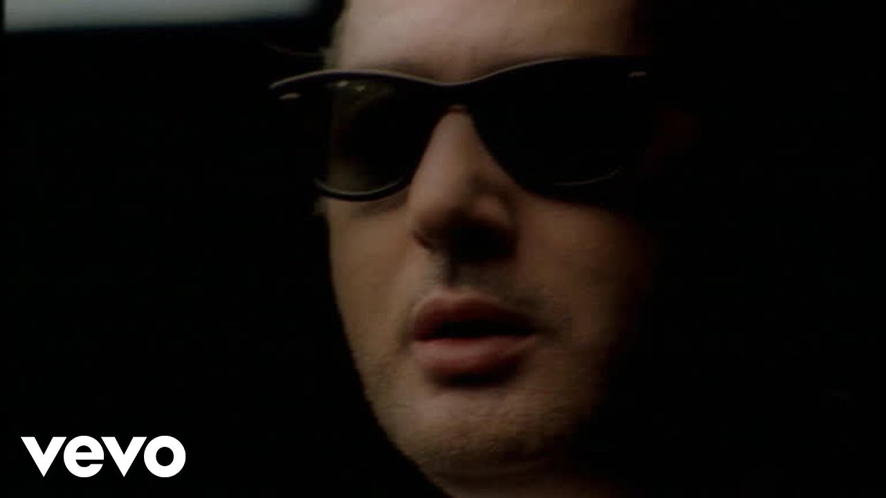 Alain Bashung - Sommes-nous