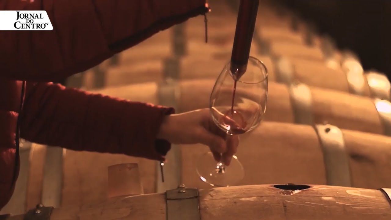 A história dos Vinhos de Portugal