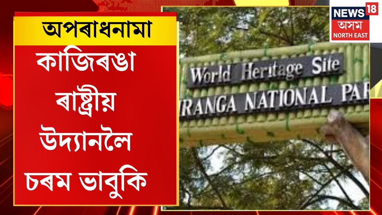 Aparadhnama | Kaziranga ৰাষ্ট্ৰীয় উদ্যানৰ নিৰ্মাণকাৰ্যৰ দোহাই দি অবাধে চলিছে বনধ্বংসৰ কাৰ্যসূচী।