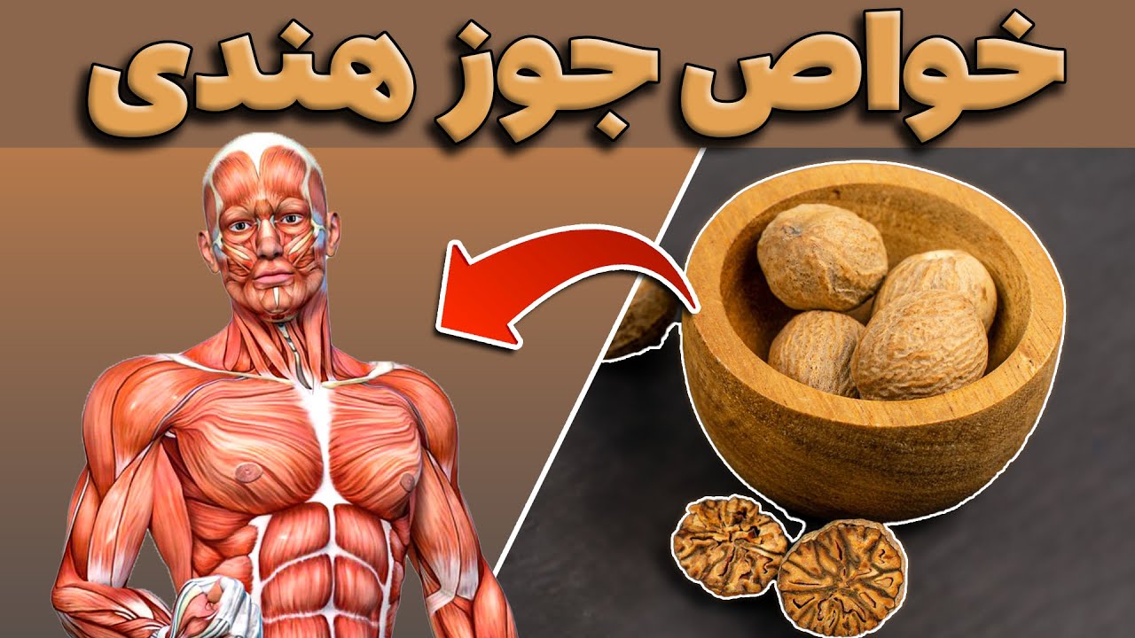 خواص جوز هندی | ازین خواص و فواید جوزهندی به راحتی نمیشه گذشت