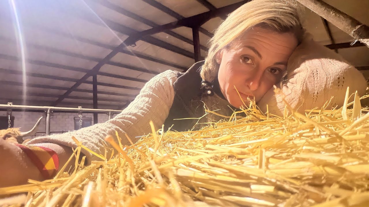 ‼Un dia dificil , pero hemos hecho 🧚 magia 🪄 ‼