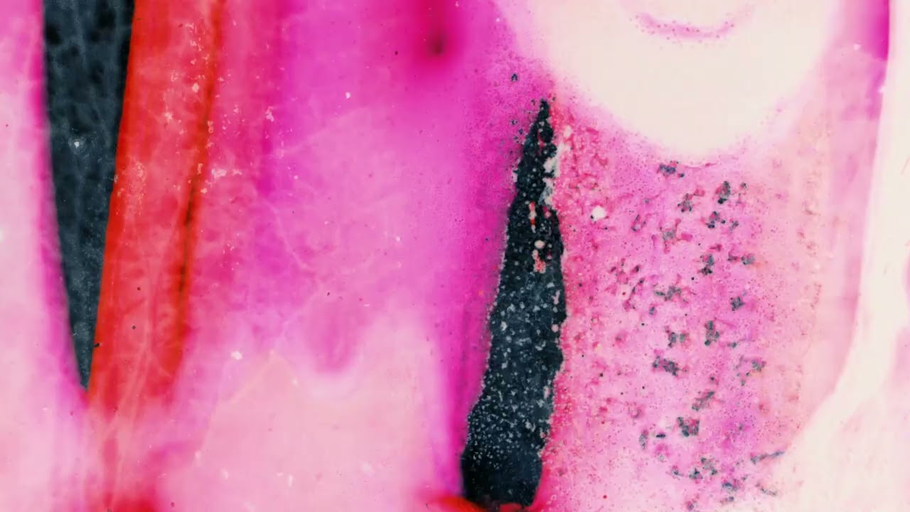 Camila Nebbia & Angelica Sanchez Album Teaser