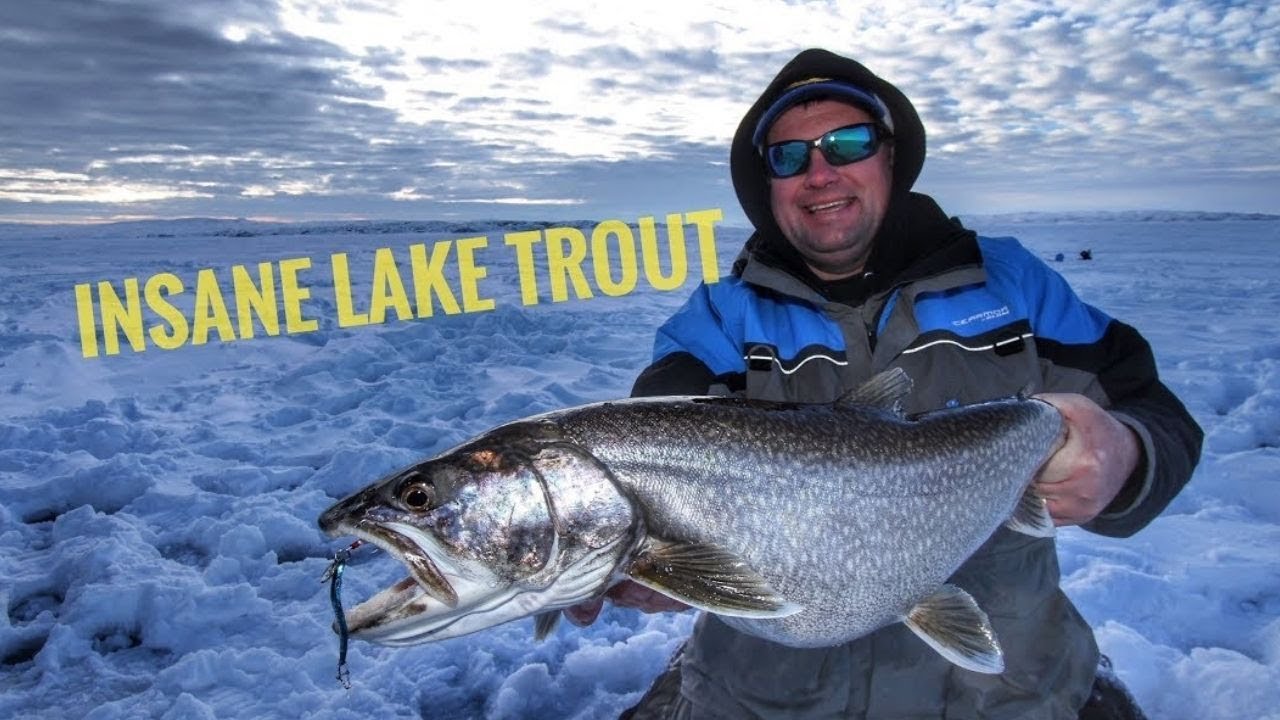 Ice Fishing for LAKE TROUT  on Fort Peck - Crazy Good Fishing #laketrout