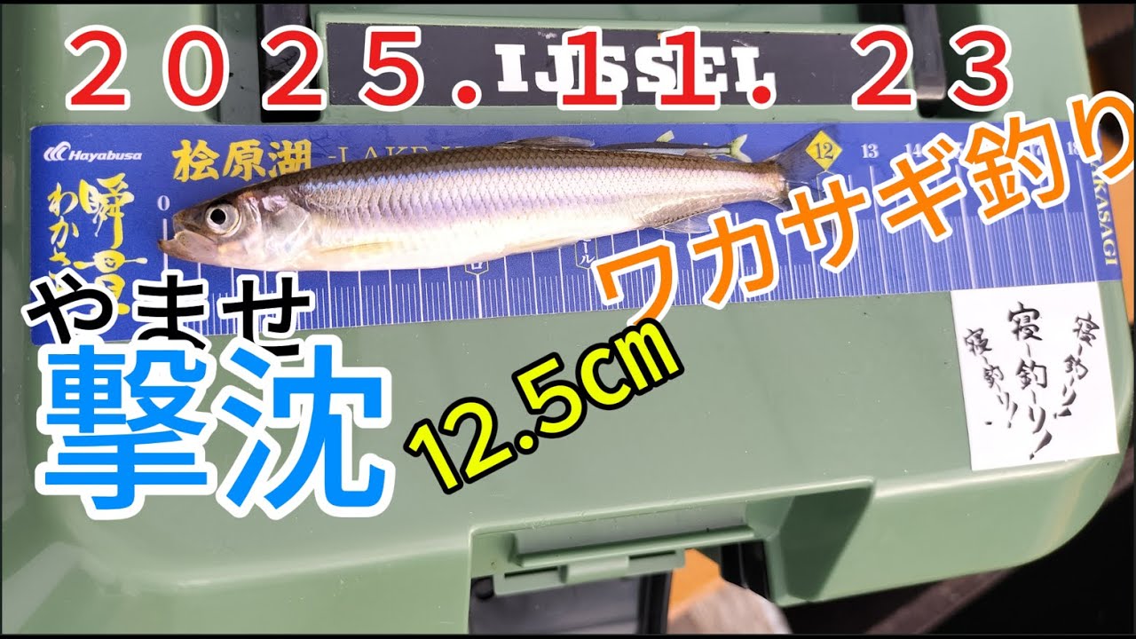 2025.11.23 桧原湖やませ　ワカサギ釣り釣行＃ワカサギ釣り＃桧原湖＃冬釣り＃ドーム船＃氷上釣り＃やませ
