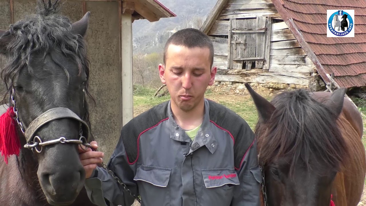 -Težački život Kljajića iz Donjeg Sokolova nadomak Ključa-13.04.2020.