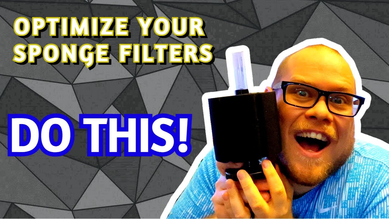 Sponge Filter Hack! @Poseidon's Pets