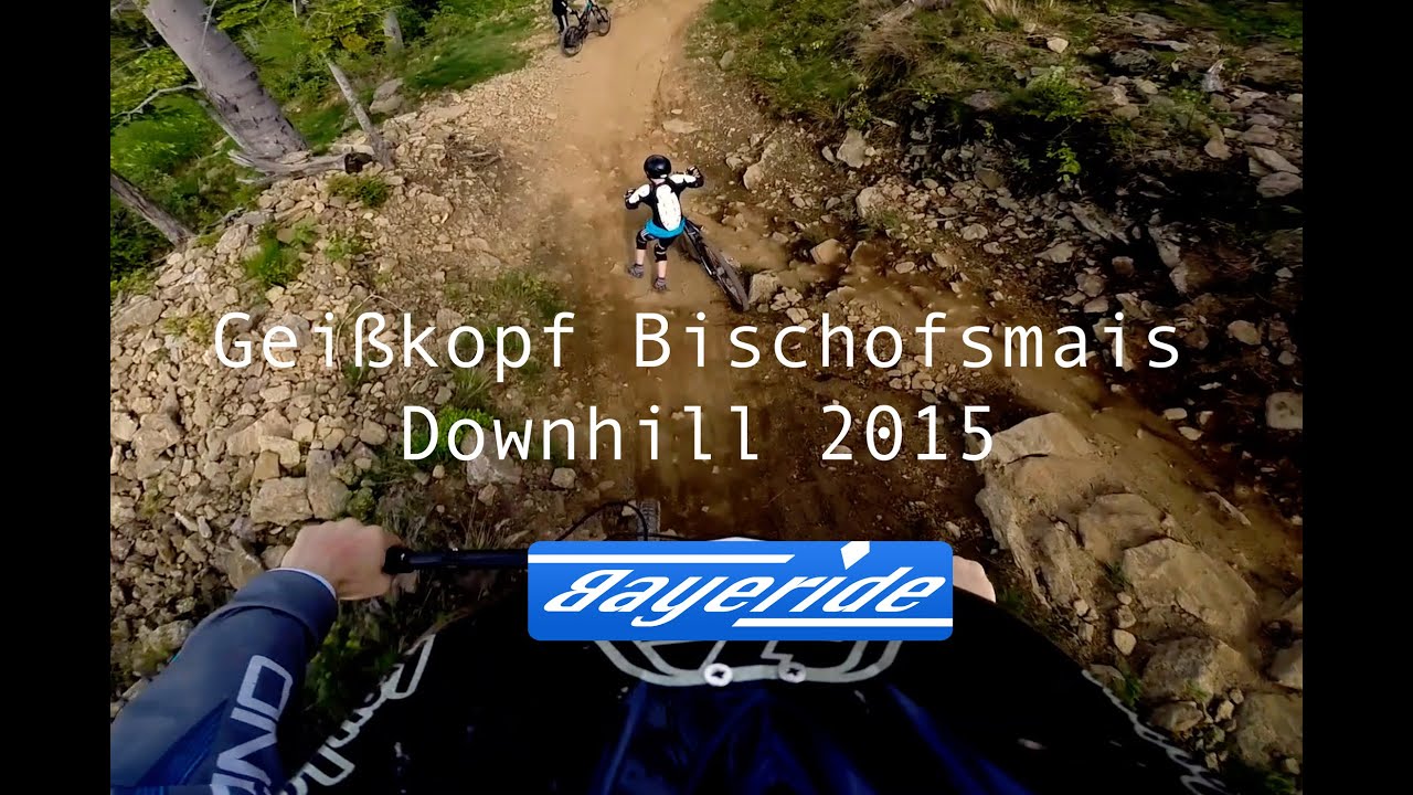 2015 Geiskopf Downhill - Specialized Demo Carbon 650b