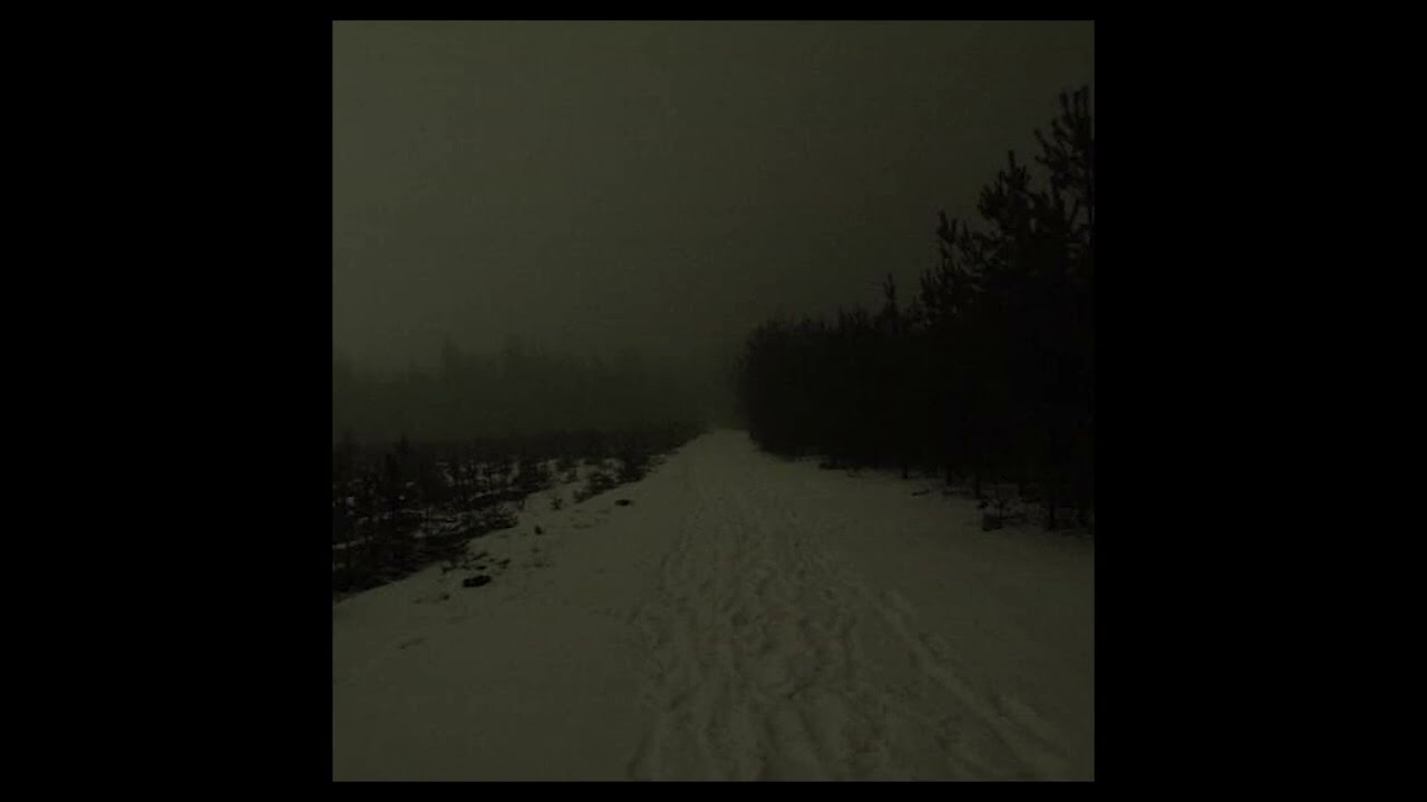 (free) molchat doma x russian post punk type beat - 