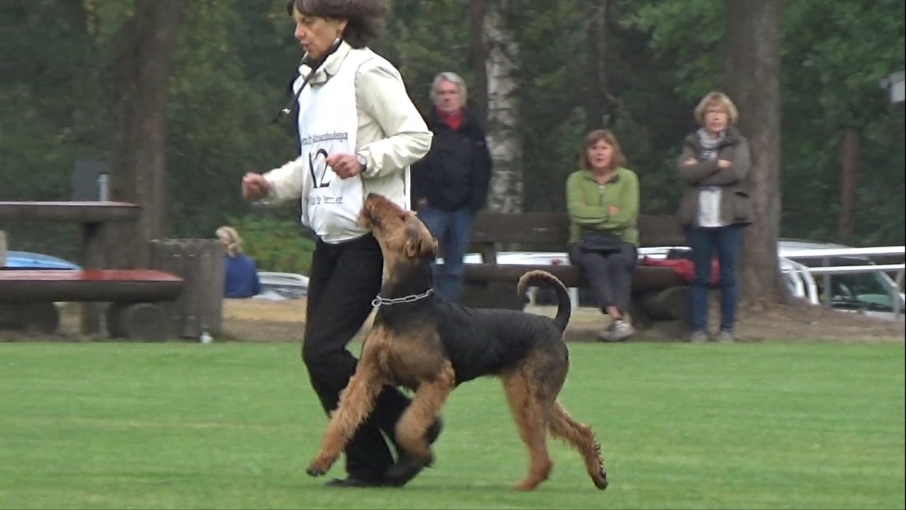 Birke von Erikson-KLSP 2016-Abt. B:92P
