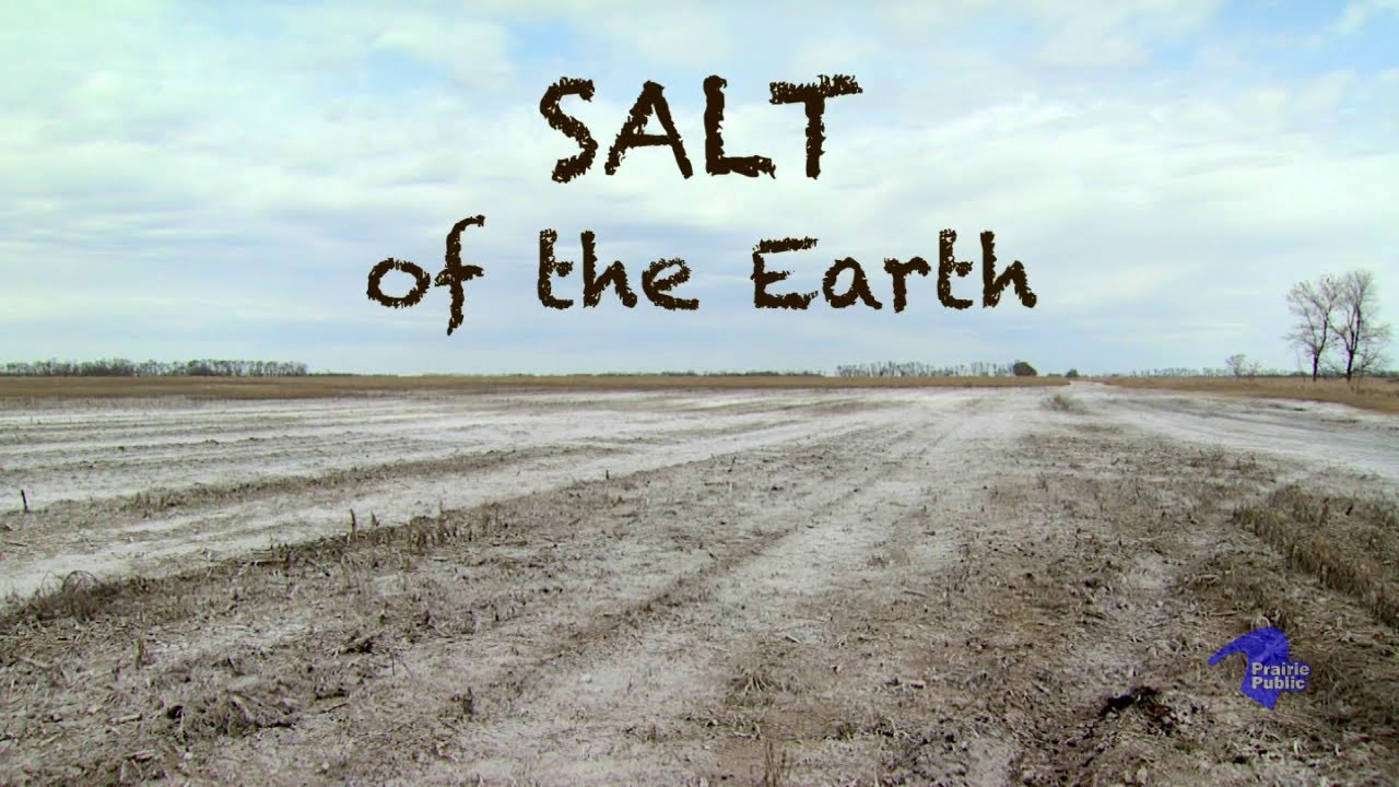 Salt of the Earth