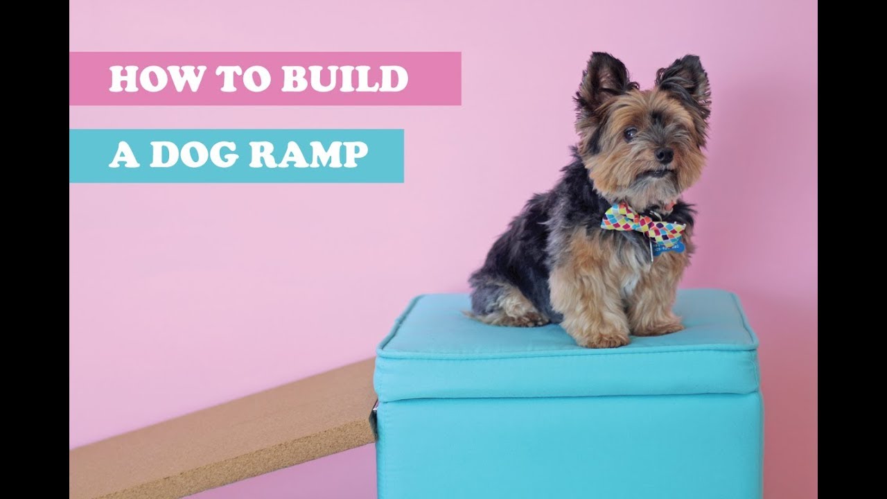 How To Build A Dog Ramp Tutorial