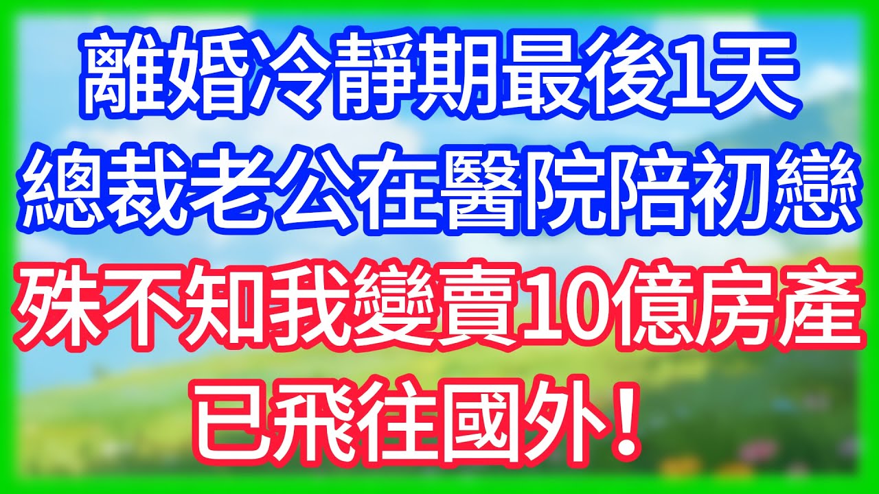 【爽文】離婚冷靜期最後1天，總裁老公在醫院陪初戀，殊不知我變賣10億房產，已飛往國外！