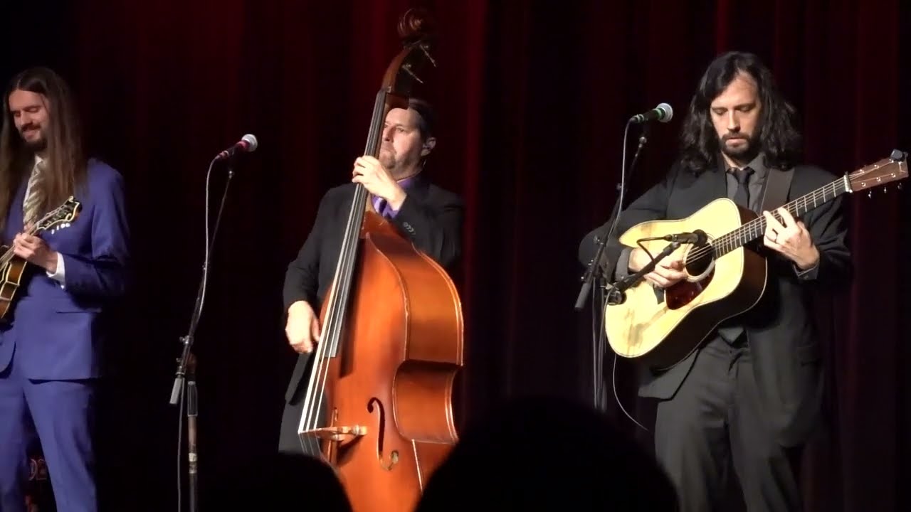 Land of Confusion (Genesis) Henhouse Prowlers 2/13/2025 FTC Stage One, Fairfield, CT