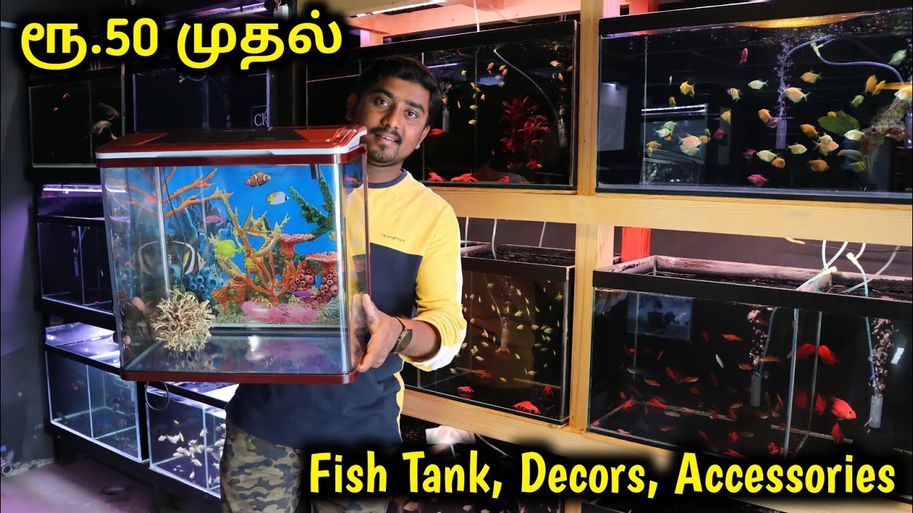 ரூ.50 முதல் Fish Tank , Decors | Cheapest Fish Tank and Accessories | Vino Vlogs