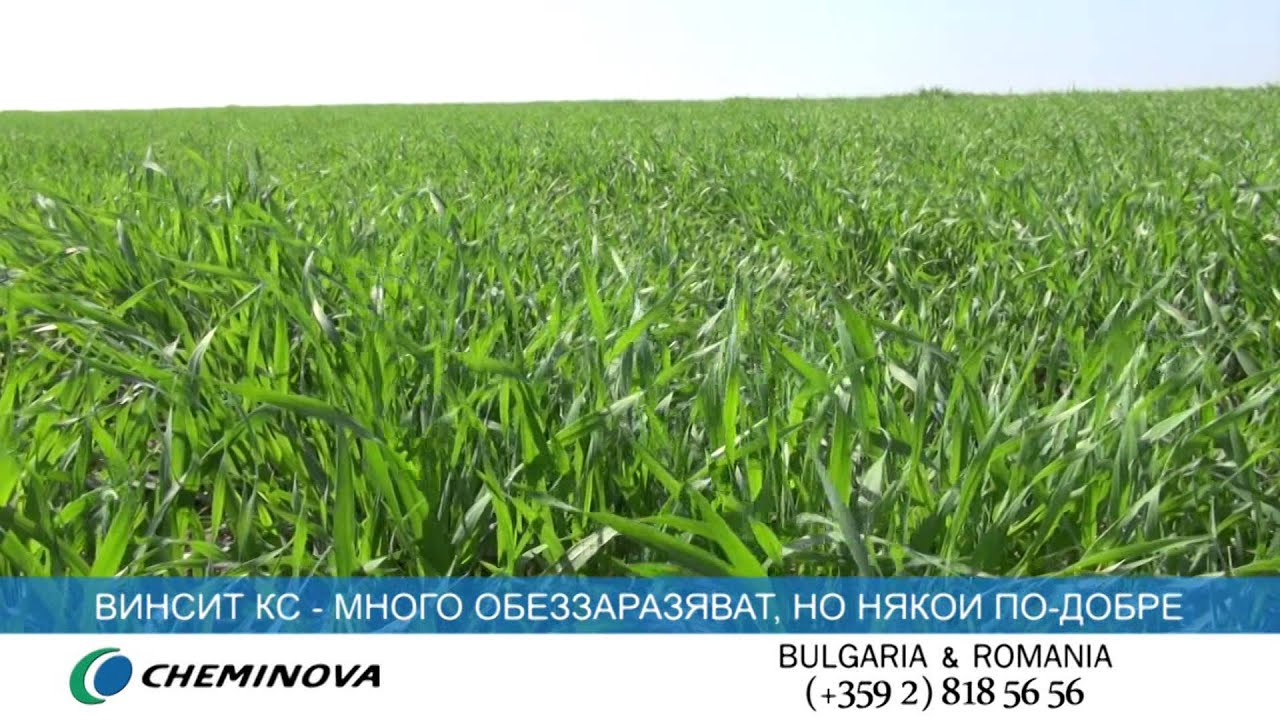 Cheminova  - Обеззаразителят  ВИНСИТ KC