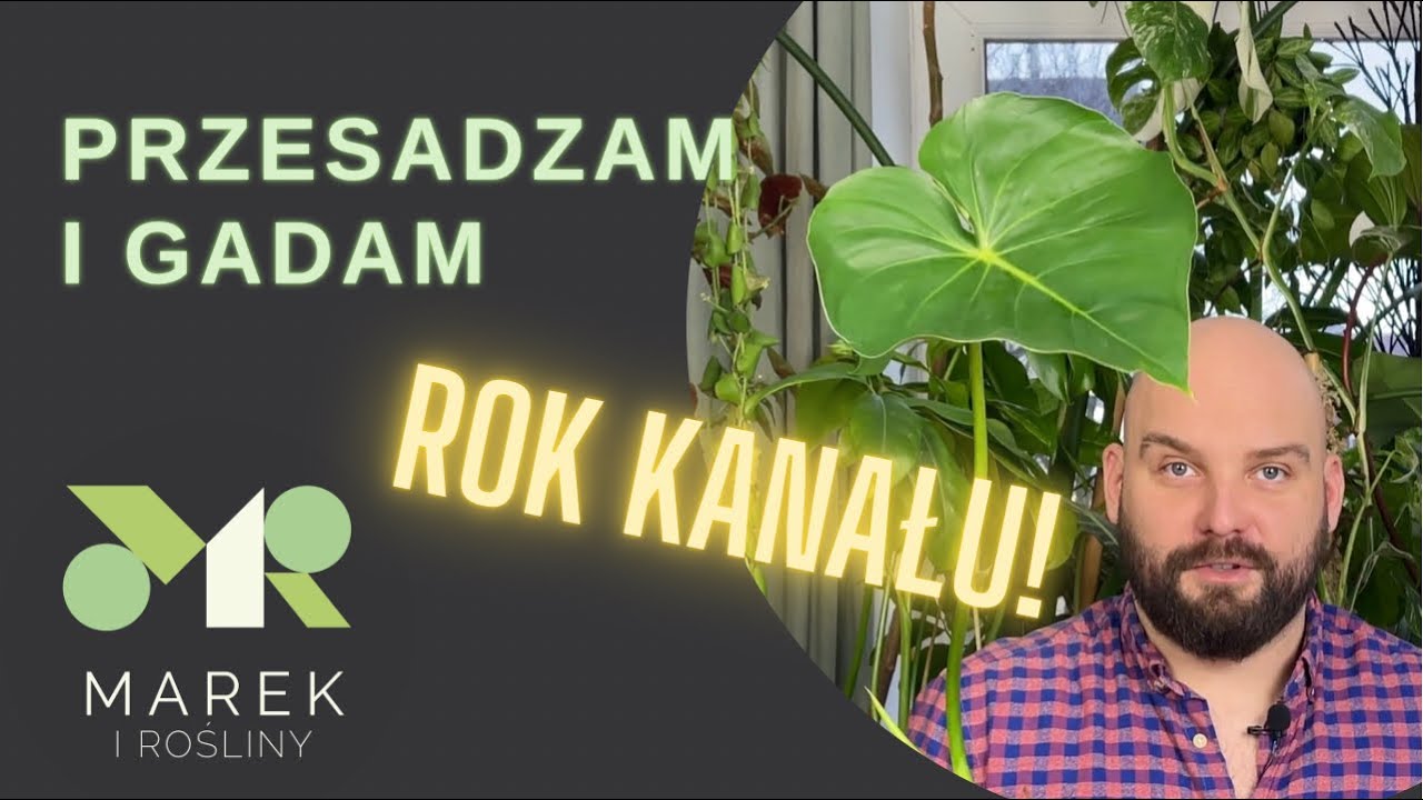 Rok kanału! Przesadzam i gadam