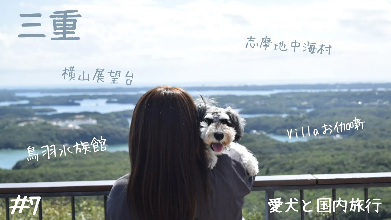 【愛犬と国内旅行】三重・奈良旅行①